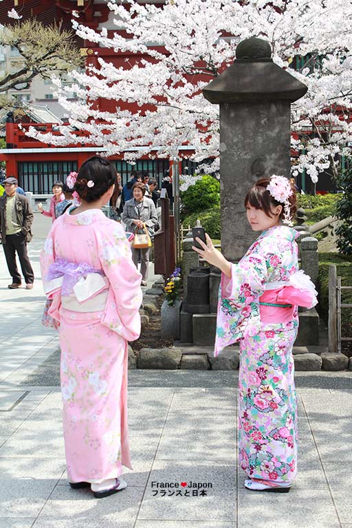 voyage japon hanami sakura cerisier du japon