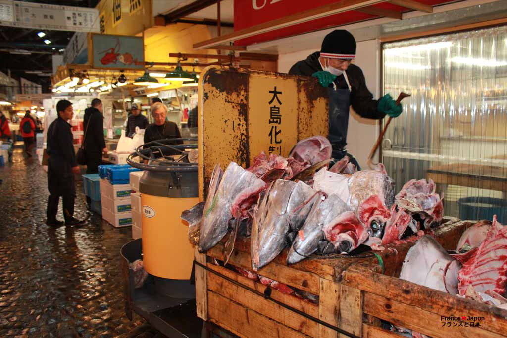 voyage japon marche poisson tokyo tsukiji