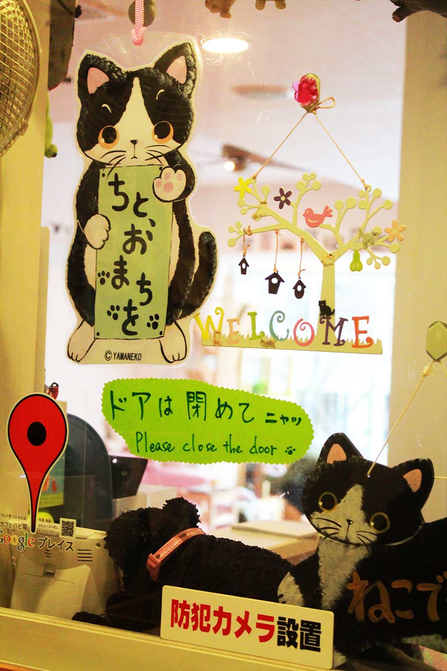 Voyage Japon tokyo Shibuya bar a chat neko cafe Hapineko