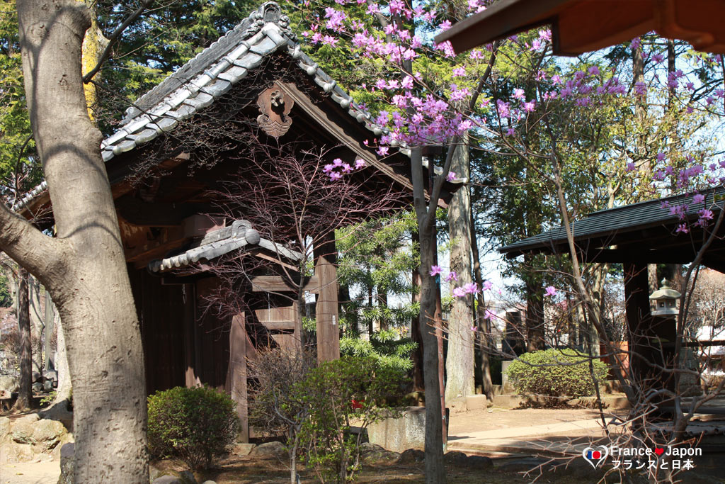 voyage japon tokyo visiter le temple gotokuji ou le temple a maneki neko