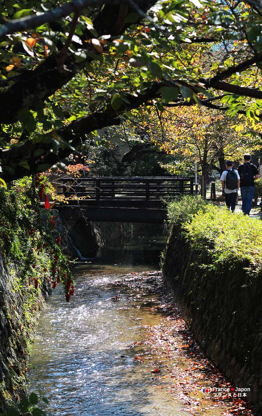 voyage japon kyoto chemin philosophie