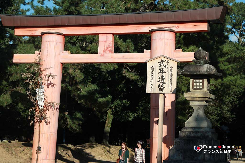 voyage japon nara visiter parc aux daims