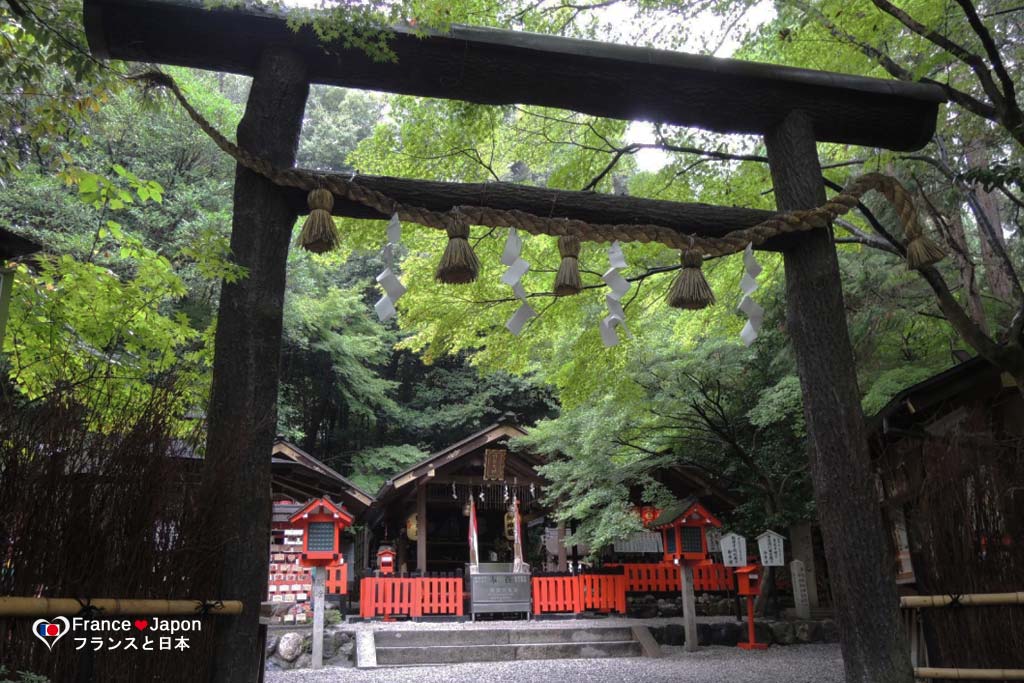 voyage japon visiter la foret bambous arashiyama kyoto