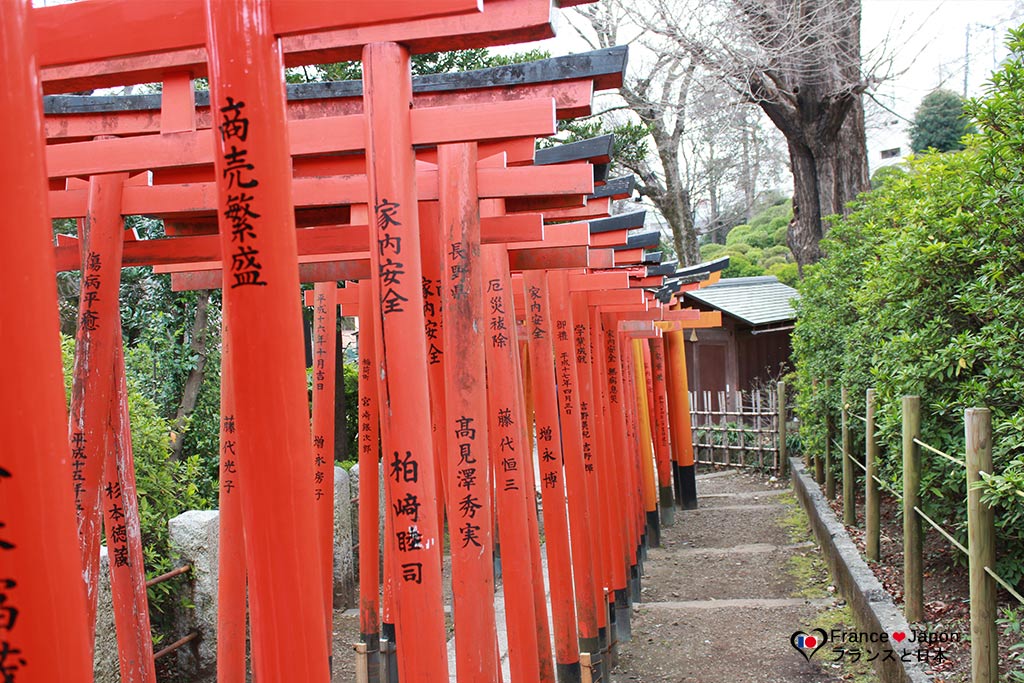 voyage japon visiter temple nezu jinja tsutsuji matsuri tokyo