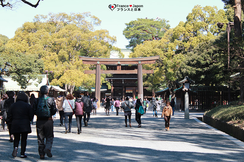 japon tokyo visiter yoyogi park meiji jingu
