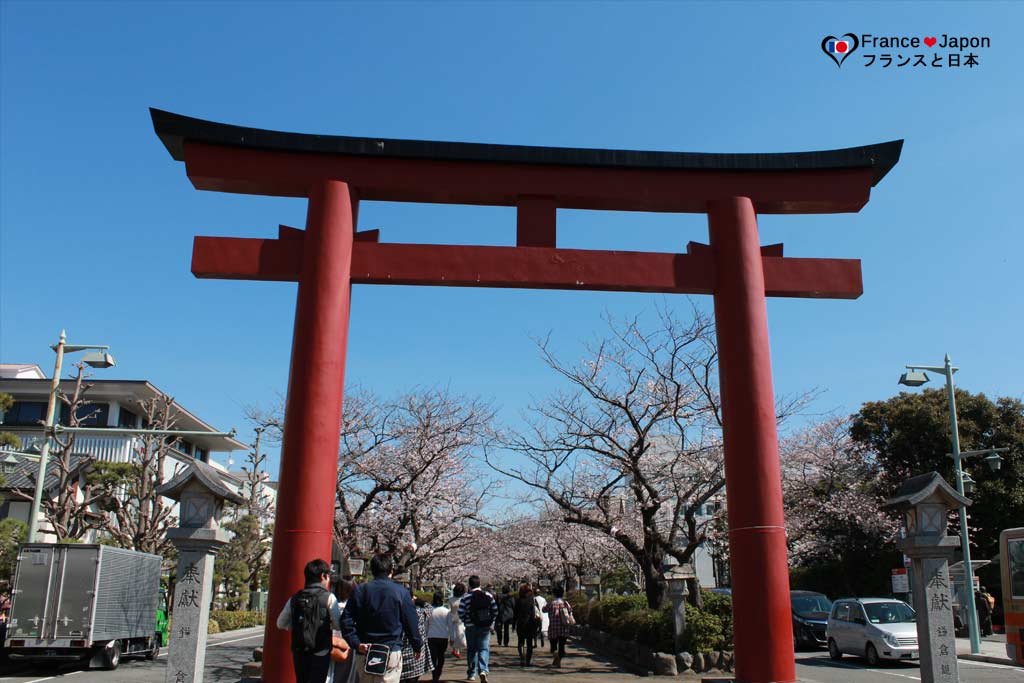voyage japon kamakura visiter le temple tsurugaoka hachimangu