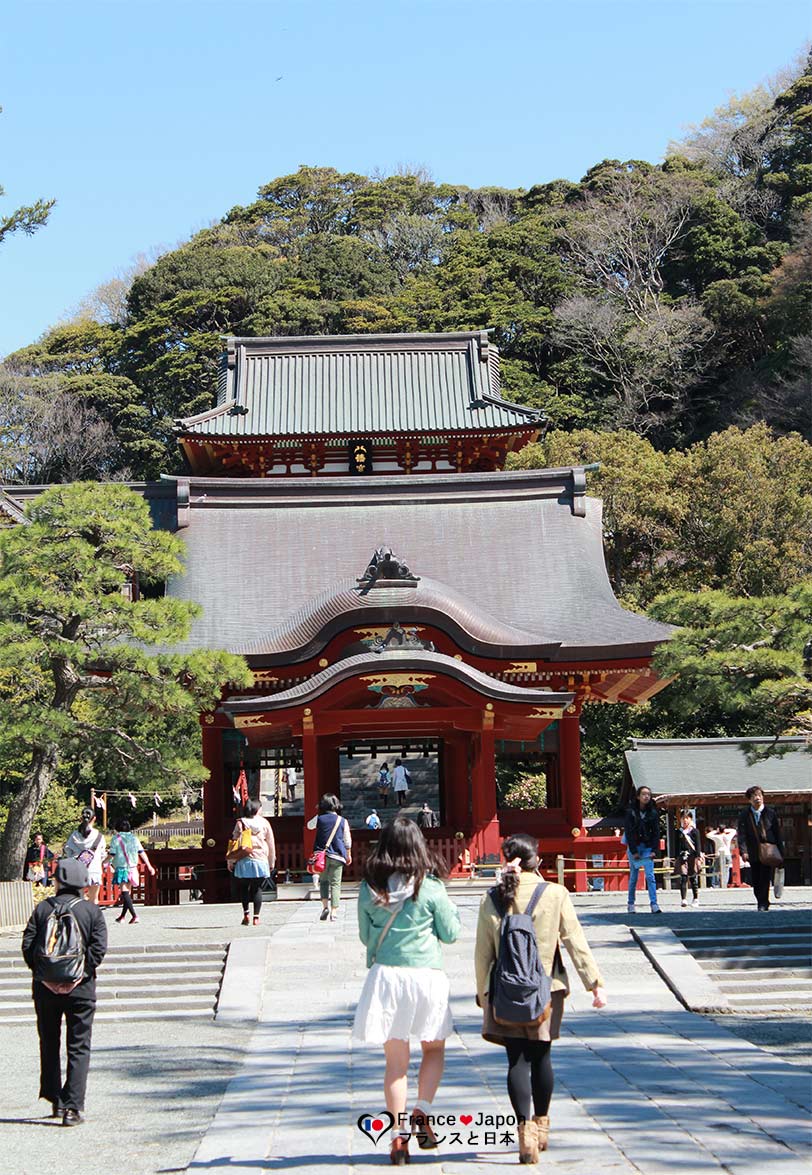 voyage japon kamakura visiter le temple tsurugaoka hachimangu