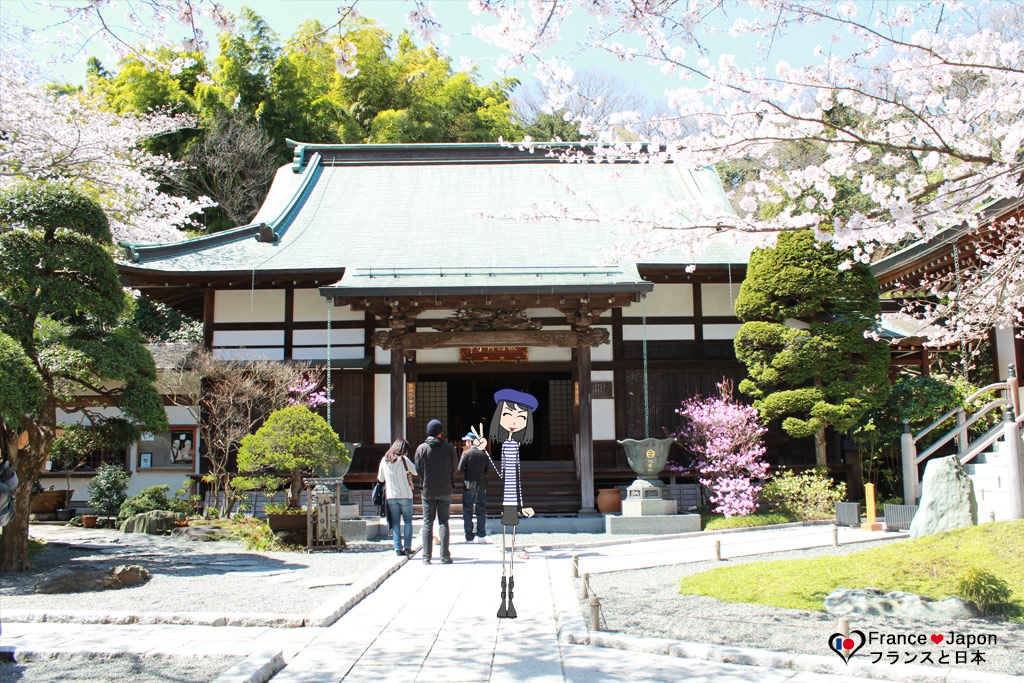 voyage japon kamakura visiter la bambouseraie du temple hokokuji hokoku ji