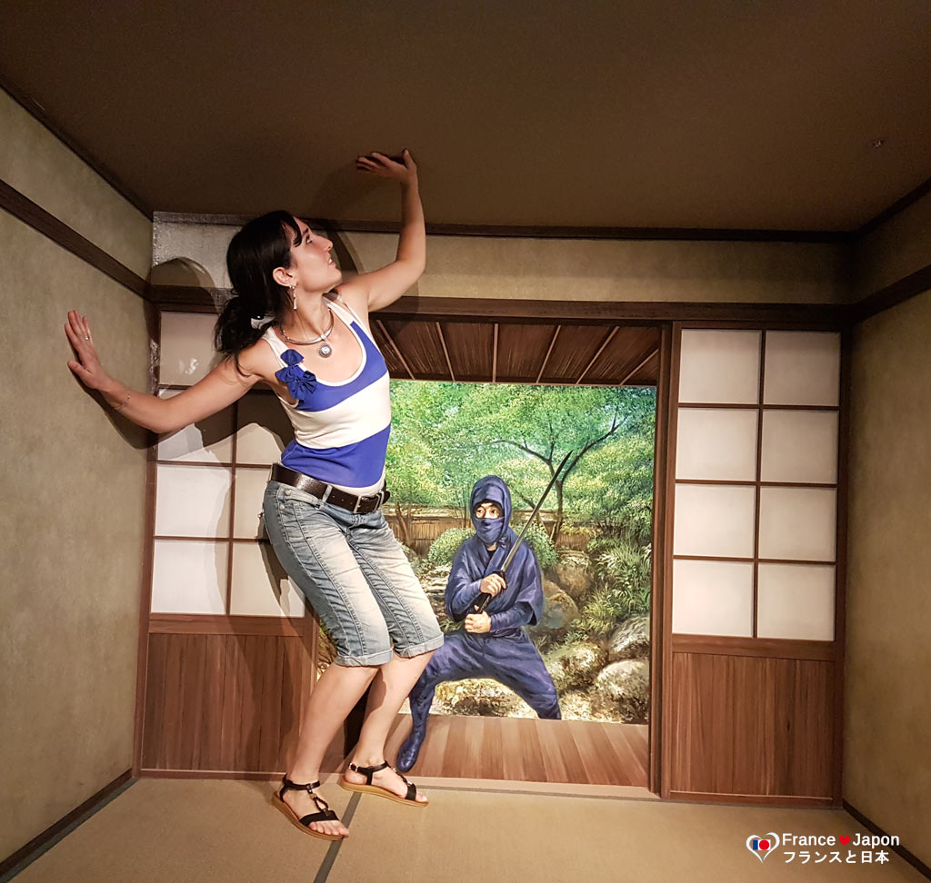 voyage japon tokyo visiter odaiba trick art museum