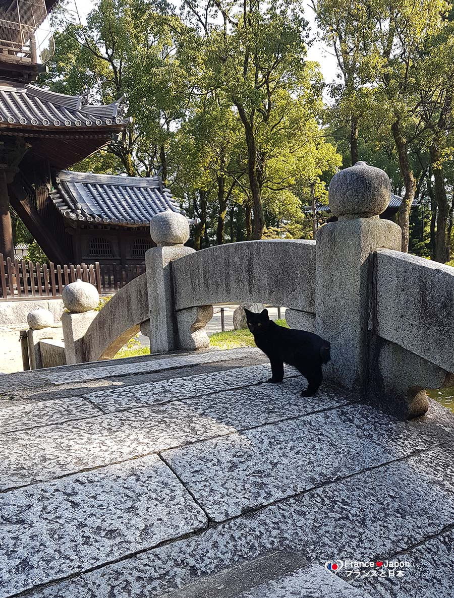 voyage japon kyushu fukuoka visiter le temple shofuku-ji shofukuji