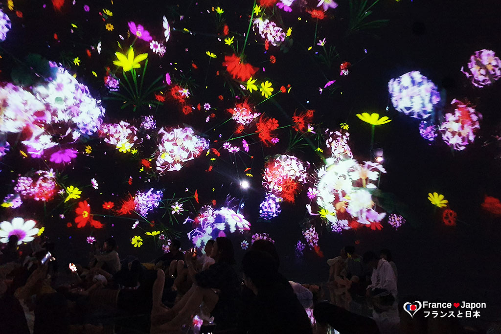 voyage japon tokyo l exposition TeamLab Planets a odaiba