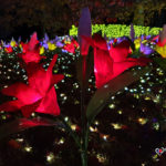 japon sagamiko illumillion le parc de noel sagami pleasure forest