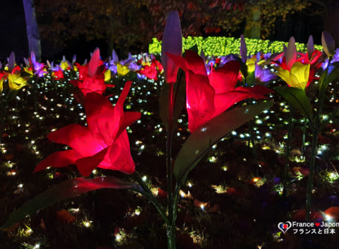 japon sagamiko illumillion le parc de noel sagami pleasure forest